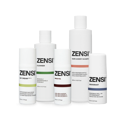 Zensi MAX IT Kit